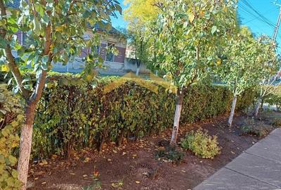 Casa de vanzare in Vladimirescu in zona primariei. - 11