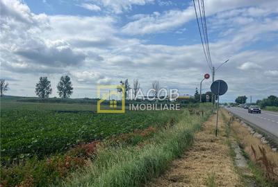 Teren intravilan, 8333 mp, la E85, comuna Secuienii Noi, jud - 6