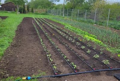 Vand casa cu teren la 65 km de Bucuresti,s-au schimb cu ap 3 camere Bucuresti - 7