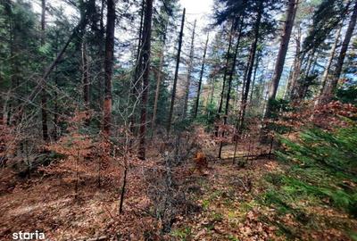 Teren de 2500 mp, în Central - 1