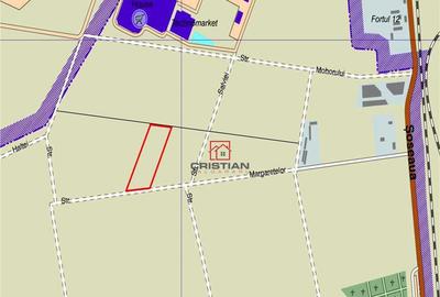 Teren de 19500 mp, în Domnești