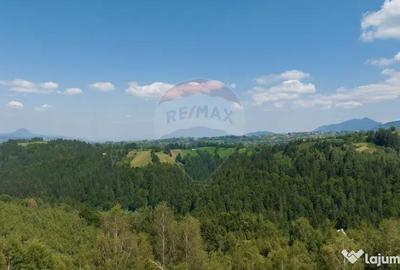 Teren de 15345 mp, în Șimon - 12