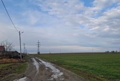 Teren agricol extravilan de 3125 mp, în Corbu - 5