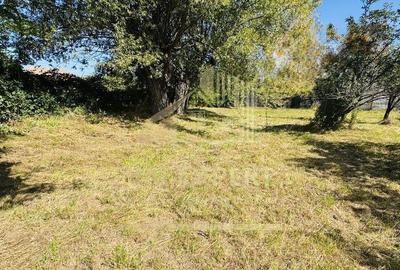 TEREN INTRAVILAN 3234 MP LERE?TI VOINE?TI ARGE? - 3