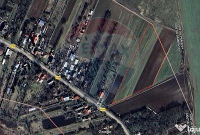 Teren de 10000 mp, în Butimanu - 6