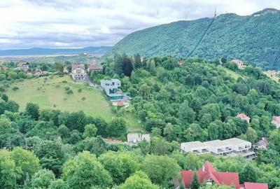 Teren de 2700 mp, în Drumul Poienii - 2