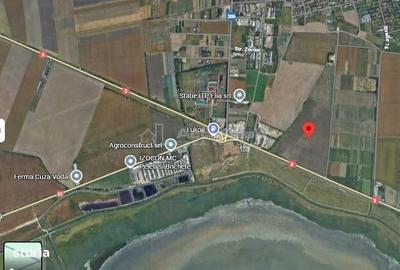 Teren de 125000 mp, în Cuza Vodă - 2