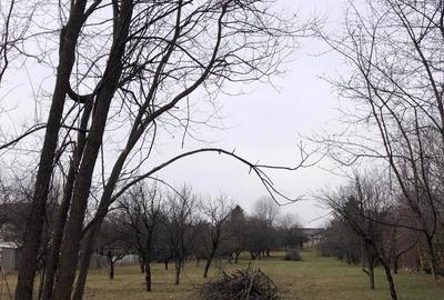 Teren de 6000 mp, în Central - 2