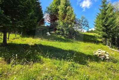 Teren de vis in Fundata 1934mp sau 3868mp, la inal?im... - 6