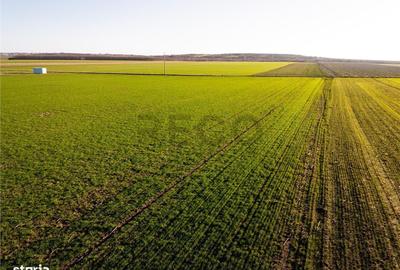 Spațiu comercial, în Biharia - 3