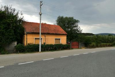 Casă cu 2 camere cu Teren 2000 Mp în Julița - 4
