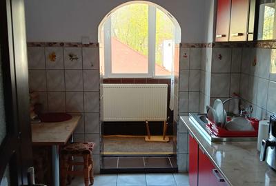 Apartament cu 2 camere decomandat în Bozovici - 2