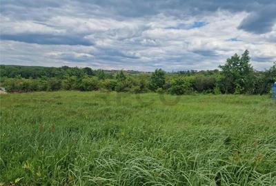 RECO teren intravilan Saldabagiu de Munte - 3