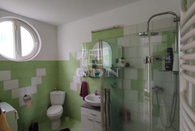 Casa P+1 cu 6 camere, decomandata, suprafata utila 220 mp, Paleu - 19