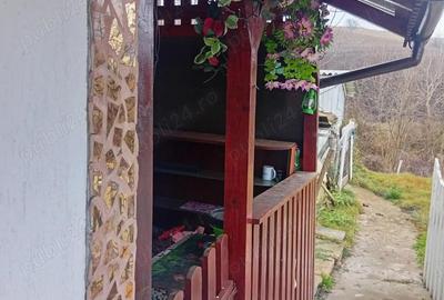 Casă cu 3 camere în Mureșeni - 1