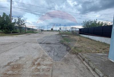 Spațiu industrial, de 880 mp, în Muntenii de Jos - 15