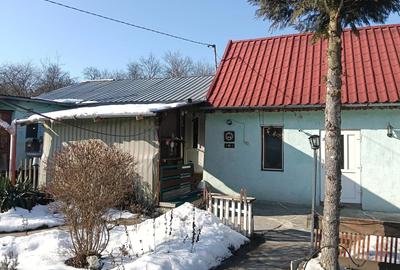 Vand casa in Tichindeal - 5