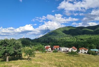 Teren Construcții intravilan de 706 mp, în Cisnădioara - 8