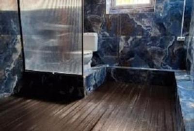 PROPRIETAR/CASA SINGUR CURTE/GARA DE NORD/PIATA VICTORIEI/COTROCENI/STIRBEI VODA - 7