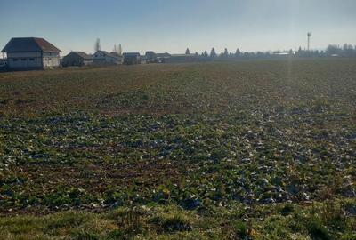 Teren de 1600 mp, în Central - 9