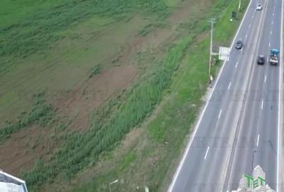 Teren de 24611 mp, în Păulești - 2
