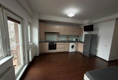 Garsonieră nedecomandată în Roșu - 3