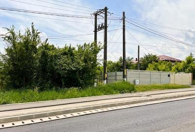 Balotesti - Caciulati, teren intravilan, suprafata 2.596 mp - 8