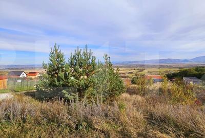 Casa de vanzare, sub padure, intr-un cadru natural deosebit - Sancraiu Casa de vanzare, sub padure, intr-un cadru natural deosebit - Sancraiu - 14
