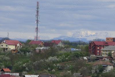 Apartament cu 2 camere decomandat în Vest - 2