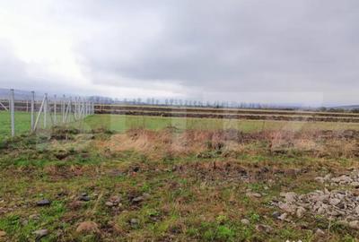 Teren în Central - 1