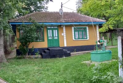 Casa batraneasca situata in jude?ul Vaslui - 1