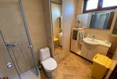 Apartament cu 2 camere de închiriat în zona Medicina - 8