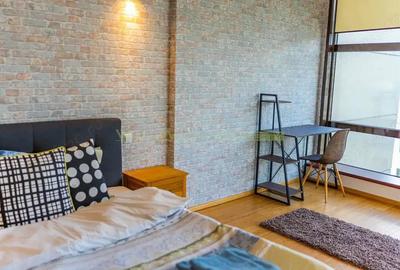 Apartament 2 camere, inchiriere lunga durata, Herastrau - 4