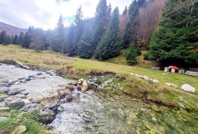 Teren intravilan panoramic 4.600mp,view iconic Piatra Craiului,oportunitate prem - 3