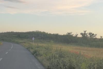 Teren Constructii | 5500 Mp | Calarasi - Granita cu Ilfov | Posta - Fundeni - 4