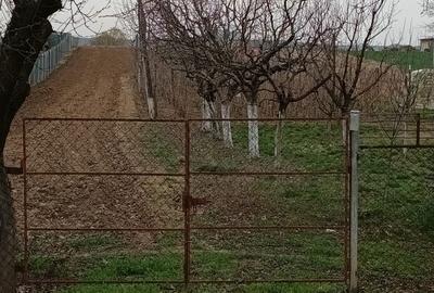 Spațiu comercial, în Drăgășani - 3