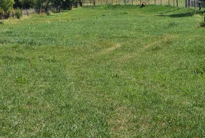 Spațiu comercial, în Toplița - 3