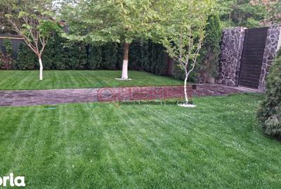 Casă cu 5 camere cu Teren 4000 Mp în Central - 3