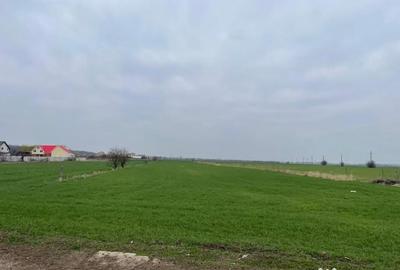 Teren de 2000 mp, în Bolintin-Deal - 2