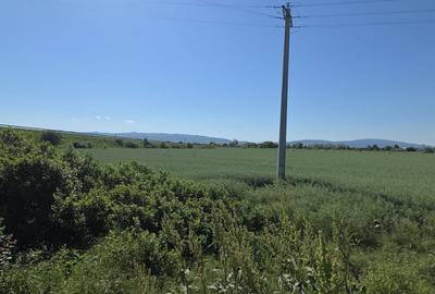 Teren Construcții intravilan de 5255 mp, în Nord - 3