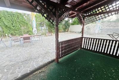 Casă + Afacere + Relaxare = Investiția Perfectă, in Cioranii de Jos - 45