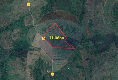 Teren extravilan situat in sat Spata(com. Bara) / Soseaua Principala Teren extravilan situat in sat Spata(com. Bara) / Soseaua Principala - 2
