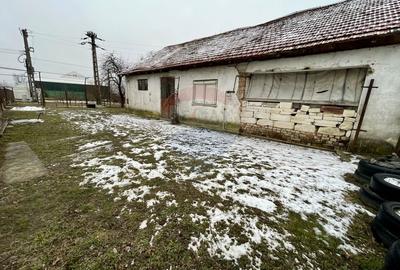 Teren intravilan de 1247 mp, în Nedelea - 3