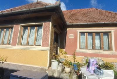 Casa de vanzare la ?ara - 4