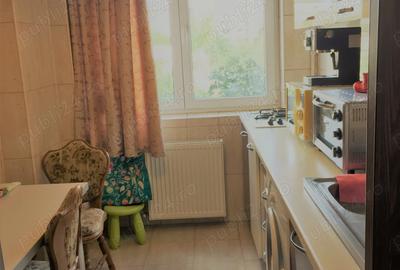 Drumul Taberei -Piata Moghioros -Pet friendly Talie mica - 5