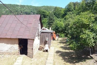 Anina, Sigismund, Casa 4 Incaperi, 1439mp Teren, ZERO Comisi - 3