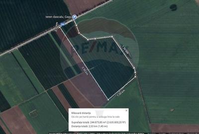 Teren 25.26ha Dascalu / DJ 200 - 1