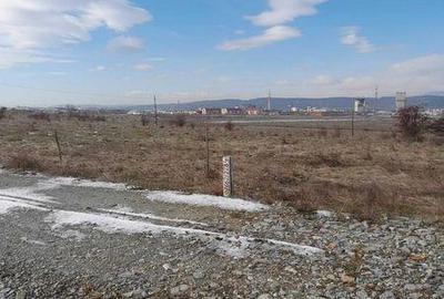 Teren de 4338 mp, în Preajba - 3