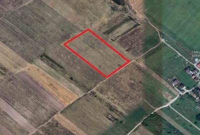 Vanzare/ schimb teren Afumati la nod centura (Autostrada A0) comercial Vanzare/ schimb teren Afumati la nod centura (Autostrada A0) comercial - 2