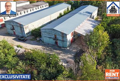 Spațiu comercial, 1200 mp în 1 Decembrie - 2